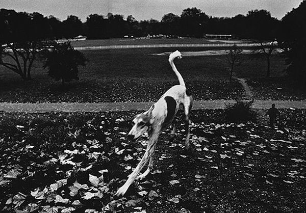 josef koudelka